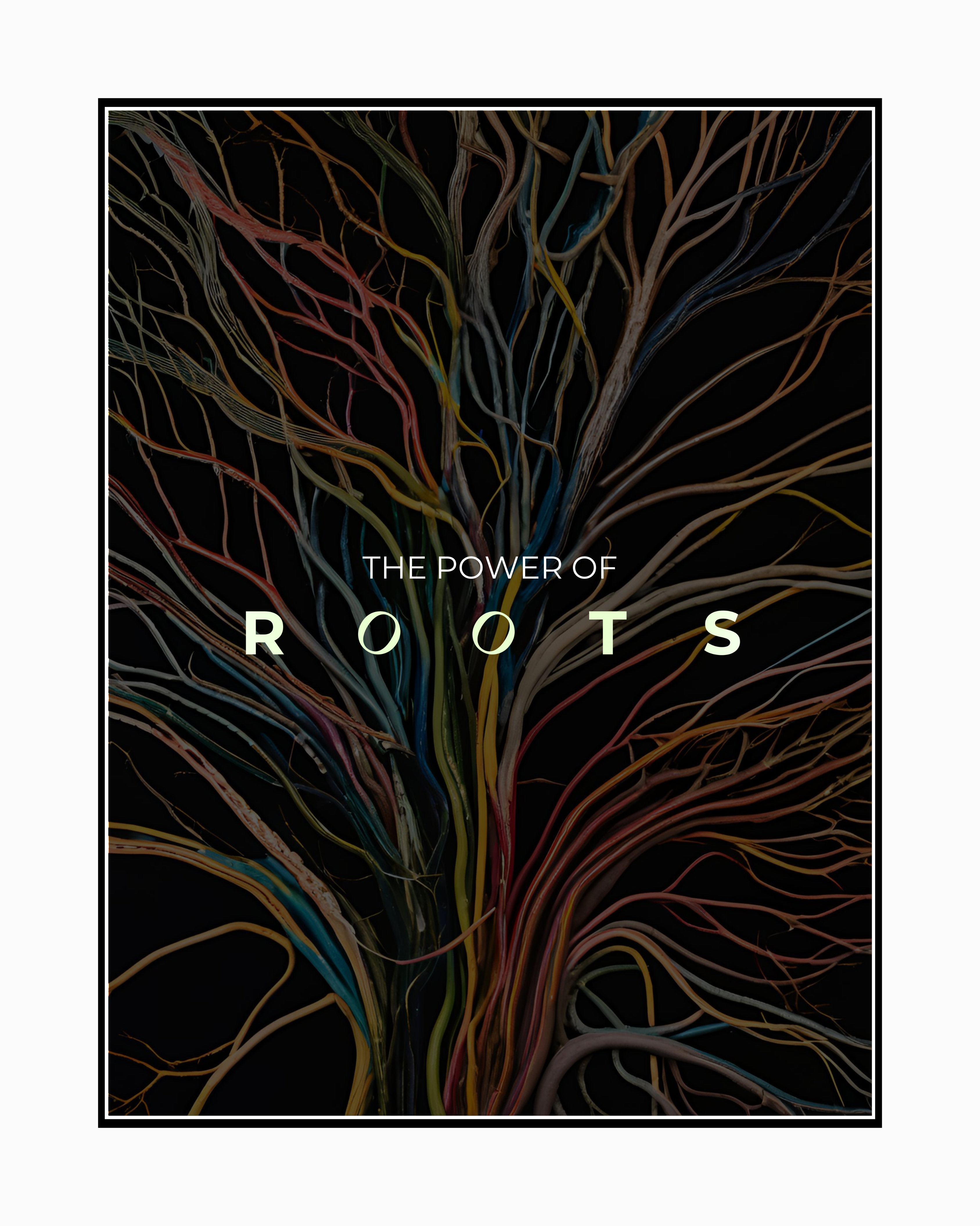 Roots herbs turmeric ashwagandha